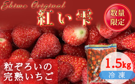 [2025年6月以降発送]愛媛県オリジナル品種 紅い雫の冷凍イチゴ 1.5kg いちご いちご いちご いちご いちご[WN0033]