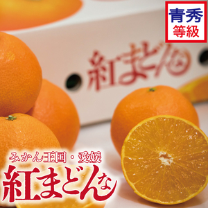 [先行予約][2025年11月下旬以降順次発送]数量限定 紅まどんな 青秀 等級 化粧箱 L玉〜5L玉 高級 紅まどんな 柑橘 フルーツ 個包装 紅マドンナ 果物 おすすめ柑橘 高級の くだもの 人気 おすすめ 贈答 ギフト 愛媛県 松山市 送料無料 えひめのフルーツ マドンナ まどんな[VEG0791]