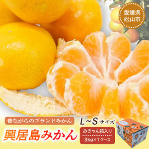 [先行予約][11月下旬より順次発送]興居島みかん 約3kg(L〜Sサイズ) みかん 柑橘 興居島 ごごしま ブランド 愛媛県 松山市
