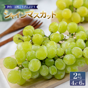 VC}XJbg 2kg | ԂǂVC}XJbg VC}XJbgVC}XJbgyVEG0101z