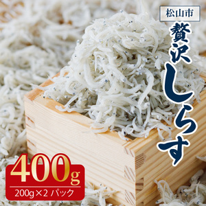 しらす 400g ( 200g × 2パック ) 冷凍 小分け しらす しらす しらす しらす しらす しらす