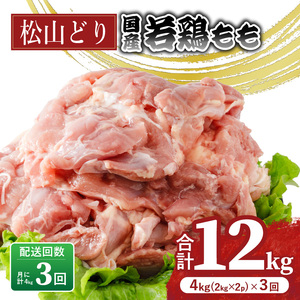 y3zRǂ  2kg×2pbN×3 v12kg {{{yBJ013z