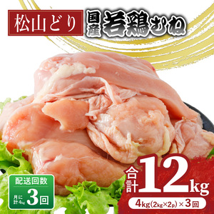 y3zRǂ ނ˓ 2kg×2pbN×3 v12kg  {{{yBJ016z