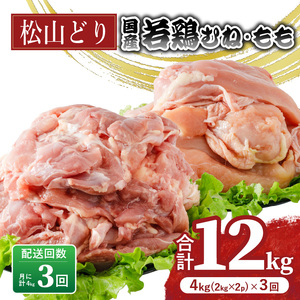 y3zRǂ ނ 2kg×1pbN  2kg×1pbN ×3 v12kg {{{yBJ019z