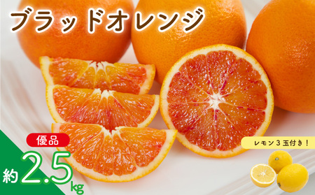 [先行予約]ブラッドオレンジ (優品) 約2.5kg & 瀬戸内海の島レモン 3玉 セット | みかんみかんみかんみかんみかん 