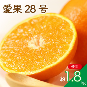 [先行予約] 柑橘 愛果28号 (優品) 約1.8kg 4-9玉 / L-4L | みかんみかんみかんみかんみかん 