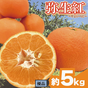 [先行予約] 完熟いよかん [弥生紅] (優品) 約5kg | みかんみかんみかんみかんみかん 