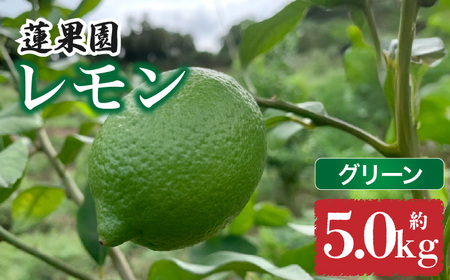 [先行予約] [グリーンレモン] [ 9月から発送] 家庭用 グリーンレモン 約5kg 防腐剤 ワックス 不使用| 訳あり レモン 檸檬 完熟 柑橘 酸味 国産 愛媛県産 訳あり 新鮮 愛媛 松山[RNK021_g]