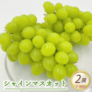 �y��s�\��z��8�����{���甭���� ���R�s�Y �V���C���}�X�J�b�g 2�[�i�v900g�j �Ԃǂ� ���� �t���[�c �ʕ� �Y�n���� ���R�s�Y �t�W�E�A�O���t�[�Y ���Ԍ��� ��s�\�� �������� �u�h�E �嗱