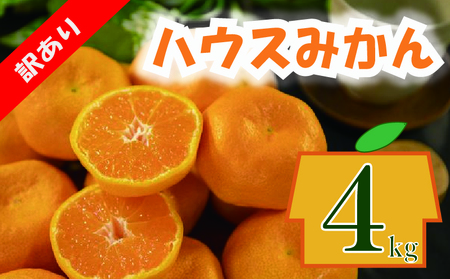 訳あり ハウスみかん 約4kg | みかんみかんみかんみかんみかんみかん【VEG048】