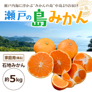 [先行予約] 瀬戸内海の島みかん 家庭用(優品)[石地みかん]約5kg | みかんみかんみかんみかんみかん [KK3291]