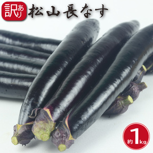 訳あり 松山長なす 約1kg | なすなすなすなすなすなすなすなす 