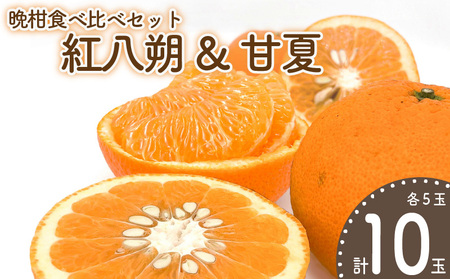 [先行予約][みかん]晩柑食べ比べセット〜紅八朔&甘夏〜(各5玉) | みかん 柑橘 