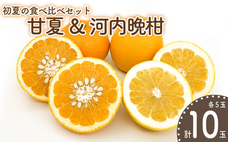 [先行予約][みかん] 初夏の食べ比べセット〜甘夏&河内晩柑〜(各5玉) | みかん 柑橘