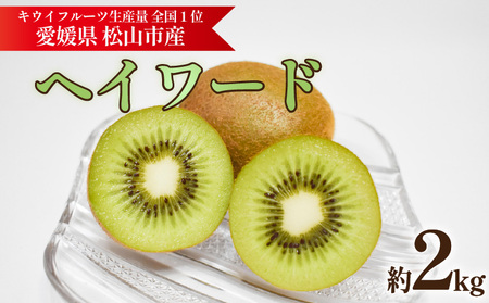 キウイフルーツ ヘイワード 約2kg | キウイ 