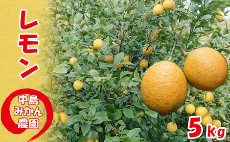 y2025N10甭zƒp  5kg ݂_ b k  k  󂠂  YyNM0191z