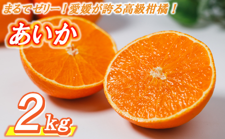 yg܂ǂȂƓiz  ݂  2kg 11{?  QRsyAIS018z