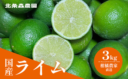 ₩ʎ C 3kg | C ݂ k YCyHMN013z