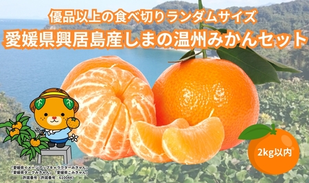 [先行予約] 温州みかん 2kg 興居島産 ランダムサイズ 優品以上 