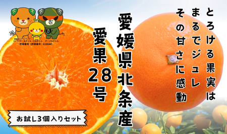 [先行予約] 愛果28号 お試し3個入りセット 