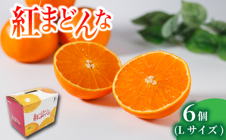 yg܂ǂȁz L TCY 6   | Q RsyFA107z