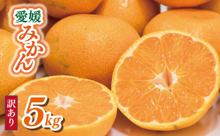 y݂z 󂠂 Q݂ 5kg | Q Rs  yVEG103z