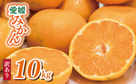 y݂z󂠂 Q݂ 10kg | Q Rs yVEG104z