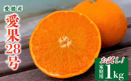 28 ƒp 1kg(4`5) ys\ 2025N11{甭z |   g܂ǂ g}hi  i ݂ ܂ǂ PA 󂠂 Bi k ݂ ʕ  