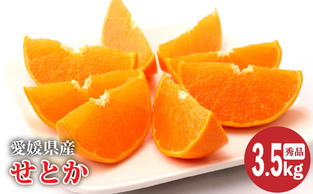 y2026N2{蔭zQY Ƃ Gi 3.5kg | жжжжжж yOF008z