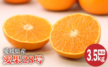 y2025N12{蔭zQY 28 Gi 3.5kg | жжжжжж yOF009z