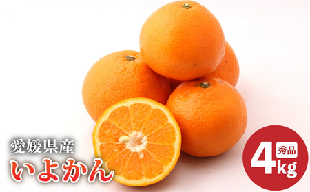 y2026N2{蔭zQY ɗ\ Gi 4kg | жжжжжж yOF010z