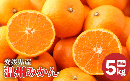 [2025年11月下旬より発送]愛媛県産 みかん 秀品 約 5kg [ミカンみかんミカンみかん]