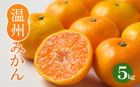 B݂ 5kgy2025N11珇zЂ߂݂ Q݂ B݂ ~J k  t[c  ʎ Rs Q ʌ yDRM004z