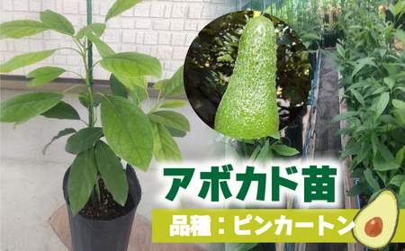 A{Jhڂؕc  sJ[giA^CvjPNcP{ bc K[fjO _ ƒ؉  A{Jh  ڂ Y A{Jh T_ A{Jh  A{Jh N A{Jh X̃o