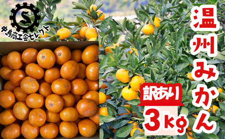[訳あり]温州みかん 3kg [あまや] 蜜柑 みかん 愛媛 松山 