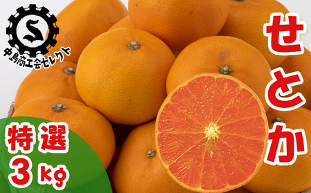 �y���I�z���Ƃ� 3kg �y���܂�z ���� �݂��� ���Q ���R �yNS019�z