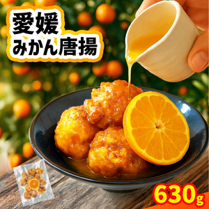 愛媛みかん唐揚 15個 [10月中旬頃〜2月下旬頃順次発送] 唐揚げ 