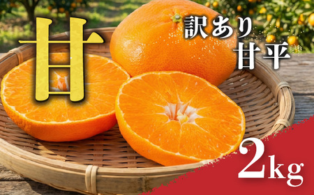 甘平 訳あり 2kg [順次発送中] 