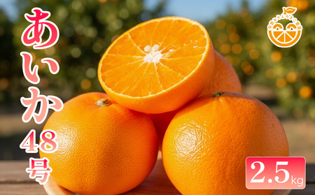 中島産 あいか48号 ( 紅プリンセス と同品種 ) 2.5kg 家庭用 [2026年3月上旬順次発送]