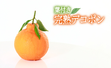 [2026年3月中旬頃から順次発送][JAえひめ中央]葉つき完熟デコポン 約5Kg L20玉 