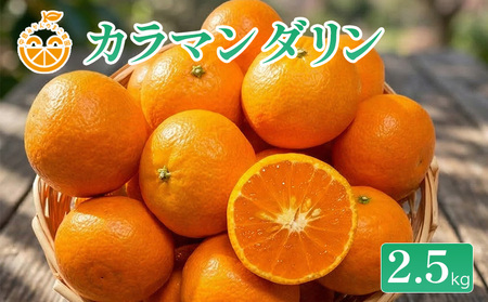 [2026年4月中旬順次発送予定]中島産 カラマンダリン 約2.5kg 中島みかんのまこ農園 | みかん ミカン オレンジ おれんじ カラマンダリン フルーツ 愛媛 松山