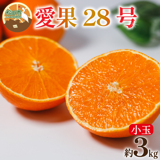[小玉] 愛果28号 (紅まどんな と同品種) 約3kg [2026年12月中旬頃から順次発送] 