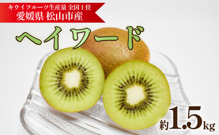 キウイフルーツ ヘイワード 約1.5kg[2026年11月上旬頃から順次発送] 