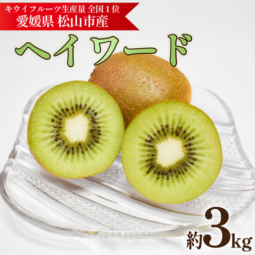 キウイフルーツ ヘイワード 約3kg 【2026年11月上旬頃から順次発送】 |  キウイ グリーンキウイ ヘイワード キウイフルーツ フルーツ 果物 きうい くだもの デザート 産地直送 数量限定 国産 送料無料 愛媛県 松山市【KNN012】