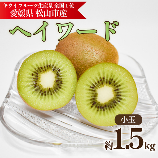 キウイフルーツ ヘイワード [小玉] 約1.5kg [2026年11月上旬頃から順次発送] 