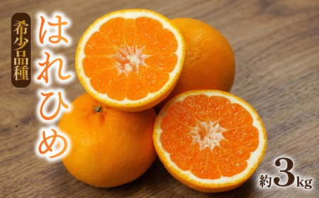 はれひめ 約3kg [2026年12月下旬頃から順次発送] | 晴姫 ハレヒメ 柑橘 はれひめ 蜜柑 ミカン mikan フルーツ 果物 みかん くだもの デザート 産地直送 数量限定 国産 送料無料 愛媛県 松山市