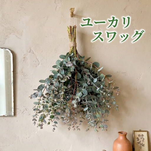 フレッシュ グニユーカリ スワッグ / 約30cm 約30本 | [2026年9月上旬頃より順次発送予定]ユーカリ ゆーかり 