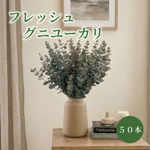フレッシュ グニユーカリ / 約30cm 約50本 | [2026年9月上旬頃より順次発送予定]ユーカリ ゆーかり 
