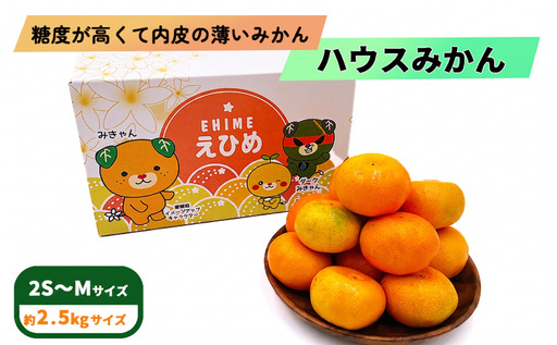[7月下旬頃から順次発送] ハウスみかん 2.5kg / 2S~Mサイズ 〇品 ご家庭用 みきゃん箱 | 愛媛県産 みかん 蜜柑 オレンジ 柑橘 果物 フルーツ 家庭用 お取り寄せ おすすめ 愛媛県 松山市