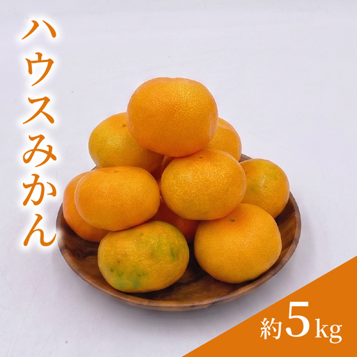[7月下旬頃から順次発送] ハウスみかん 5.0kg / 2S~Mサイズ 〇品 ご家庭用 | 愛媛県産 みかん 蜜柑 オレンジ 柑橘 果物 フルーツ 家庭用 お取り寄せ おすすめ 愛媛県 松山市
